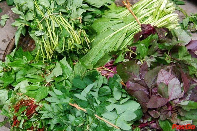 Ctna Lau Hoi Caribe (6)